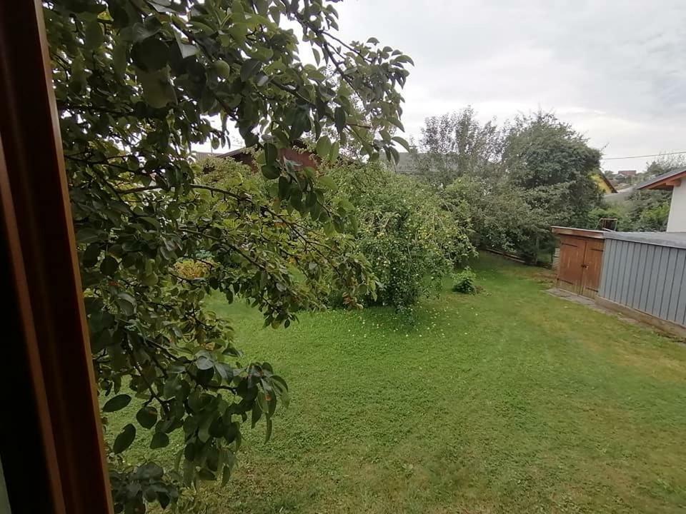 Hortensia - Appartment - Ferienwohnung - Ferienhaus Munzkirchen Kültér fotó