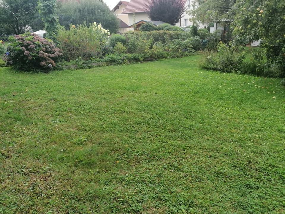 Hortensia - Appartment - Ferienwohnung - Ferienhaus Munzkirchen Kültér fotó